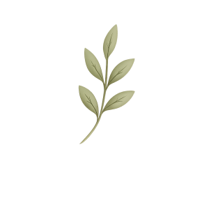 hoja adorno
